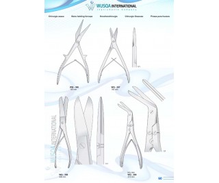 Bone Holding Forceps